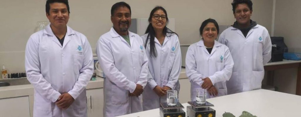 Con papas y nopal, docentes peruanos logran remover metales pesados del agua