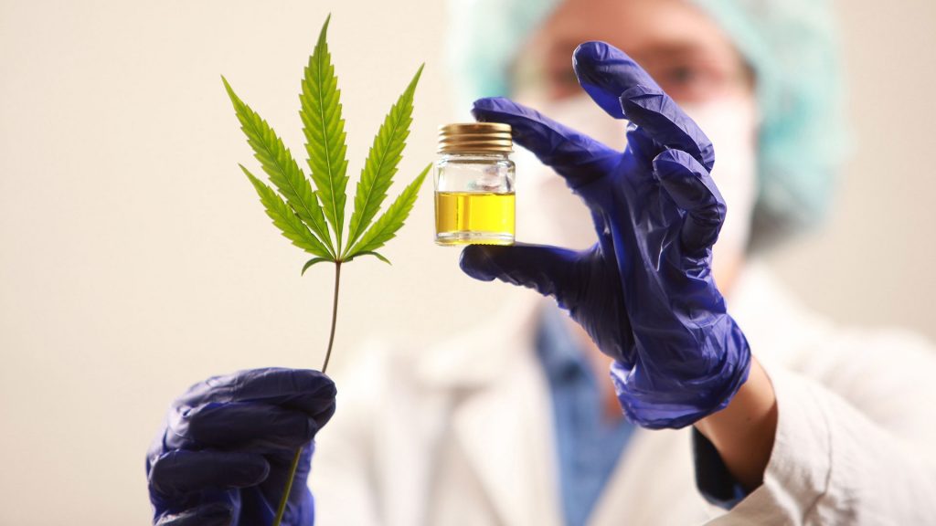 El cannabis medicinal, al alza apoyado en los beneficios de los armarios de cultivo interiores