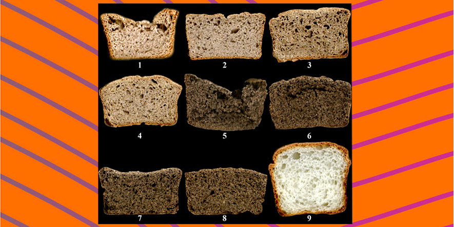 Investigadoras desarrollaron un pan sin gluten con altas propiedades nutricionales